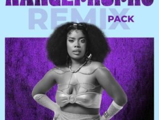 Cnethemba Gonelo Nangephupho Remix Pack EP Download