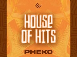 Tumisho House Of Hits EP Download
