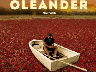 Maeywon TIP Trouble in Paradise Mp3 Download