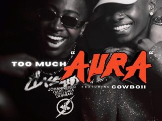 Majorsteeze Too Much Aura Mp3 Download