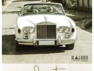 Malome Vector Lerato Mp3 Download