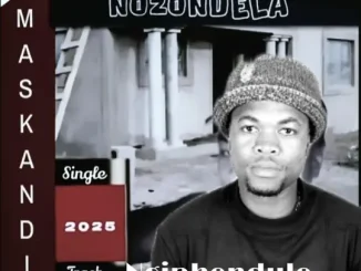 Nozondela Ngiphendule Mp3 Download