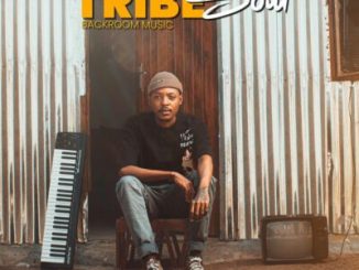 TribeSoul Pathapatha Mp3 Download