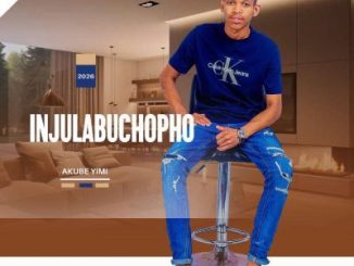 Injulabuchopho Uzokuphula Inhliziyo Mp3 Download