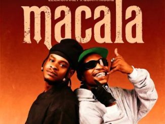 LeeMcKrazy Re Vaya Ka 7 Mp3 Download