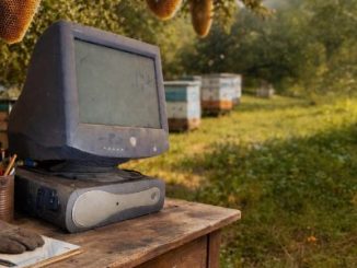 Mas Musiq Ngicishe Ngafa Mp3 Download