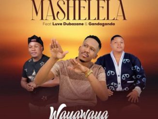 Mashelela Waya Waya Mp3 Download