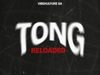 Vibekulture SA Midnight Bounce Mp3 Download