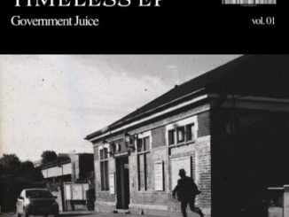 Government Juice Timeless EP Download