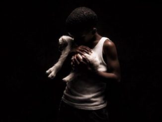 Nandipha808 The End Mp3 Download