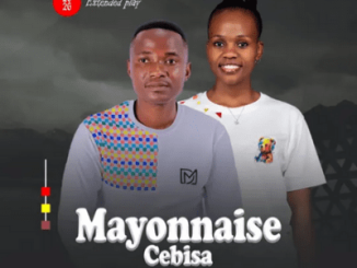 Mayonnaise Cebisa If I Were A Boy EP Download