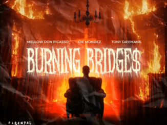 Mellow Don Picasso Burning Bridge$ Mp3 Download