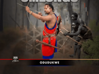 Umlungu Kumele Ngenzenjani Mp3 Download