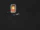 Bees & Honey Daylight Mp3 Download