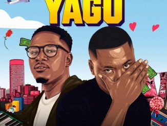 Brandon Dhludhlu Uzibonele Mp3 Download