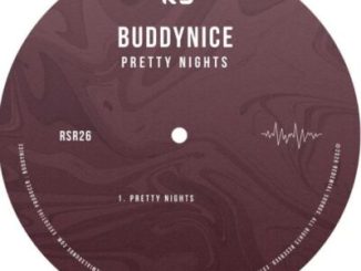 Buddynice Pretty Nights Mp3 Download