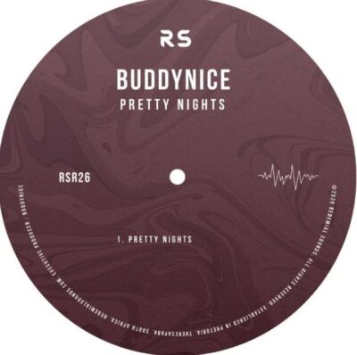 Buddynice Pretty Nights Mp3 Download