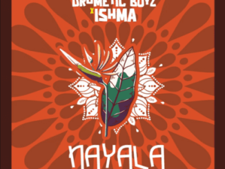 Drumetic Boyz Nayala Mp3 Download
