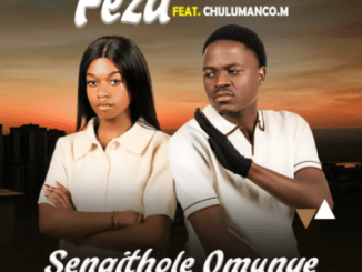 Feza Sengithole Omunye (Remix) Mp3 Download