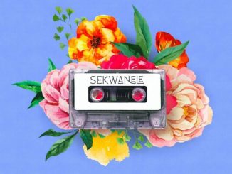 GL_Ceejay Sekwanele Mp3 Download
