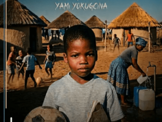 Kwazi Nsele Thina Sazwala Izaliwakazi Mp3 Download