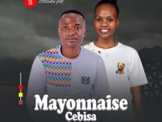 Mayonnaise Cebisa Ngelinye Ilanga Mp3 Download