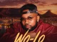 Mihlali The Guy Wo Lo Mp3 Download