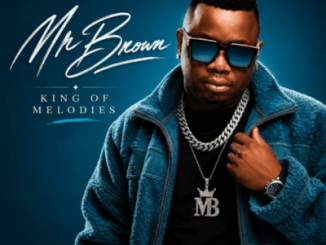 Mr Brown Zvorema Mp3 Download