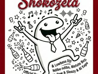 Officixl rsa Shokozela Mp3 Download