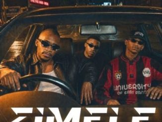 Optimist Music ZA Zimele Mp3 Download