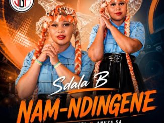 Sdala B Nam Ndingene Mp3 Download