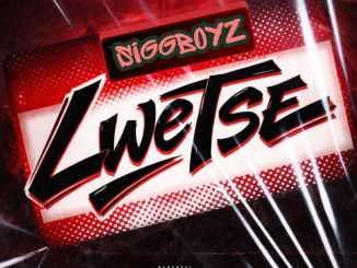 Siggboyz Lwetse Mp3 Download