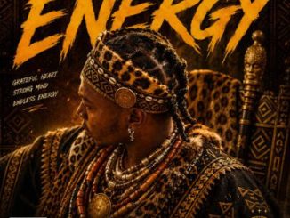 49TheAnalyzer Energy THE iNTRO PACK EP Download