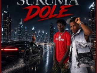 Bizze Sukuma Dole Mp3 Download
