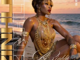 DJ Zinhle Njengemali Mp3 Download
