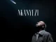 De Mthuda Nkanyezi Mp3 Download