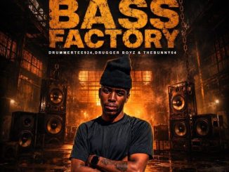 DrummeRTee924 The Bass Possession Mp3 Download