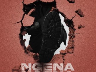 Fake'Well Ngena Ngena Mp3 Download