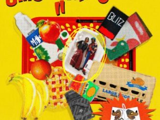K.Keed uMgaranto II Album Download