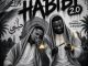 Mbuxx Habibi 2.0 (AmaZaiZai) Mp3 Download
