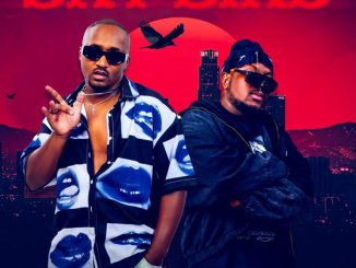 Muvo De Icon Sky Bird Mp3 Download