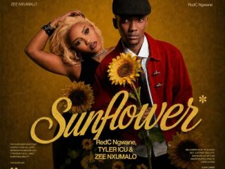 RedC Ngwane Sunflower Mp3 Download