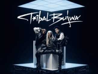 StokieNChilli Tribal Bujwa Mp3 Download
