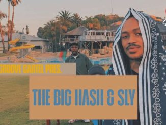 The Big Hash Amapiano Groove Cartel Presents The Big Hash & Sly Mp3 Download