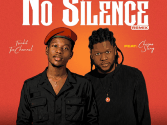 Trinket TeeChannel No Silence (Remix) Mp3 Download