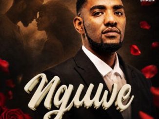 Ace Shaun Nguwe Mp3 Download