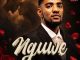 Ace Shaun Nguwe Mp3 Download