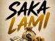 Amaqhawe Saka Lami Mp3 Download