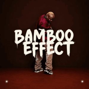 Biggie SA Bambo Effect Album Download