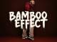 Biggie SA Bambo Effect Album Download